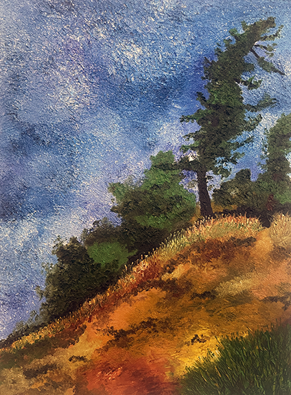 Shore Pine